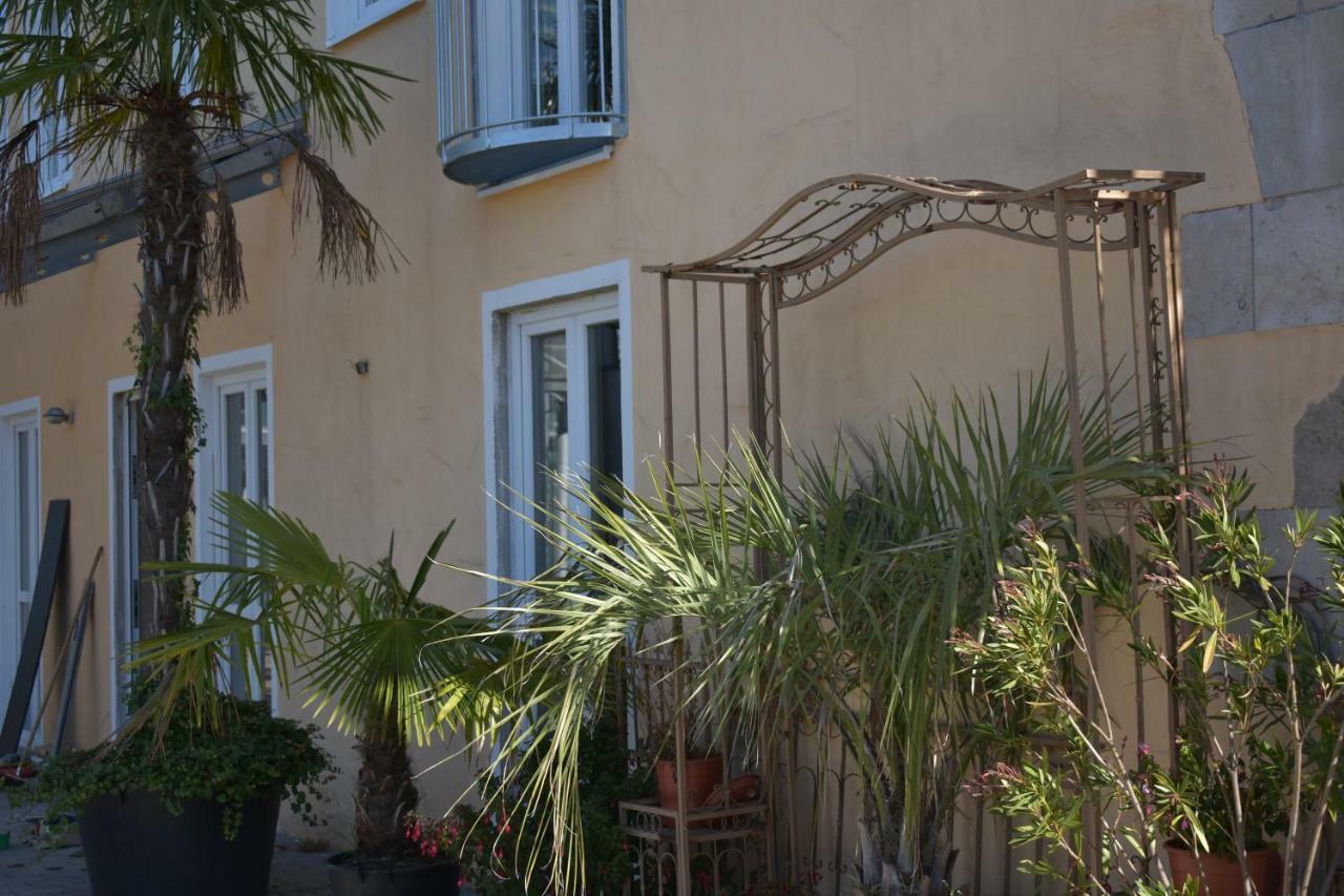 Palmengarten Finning Екстер'єр фото