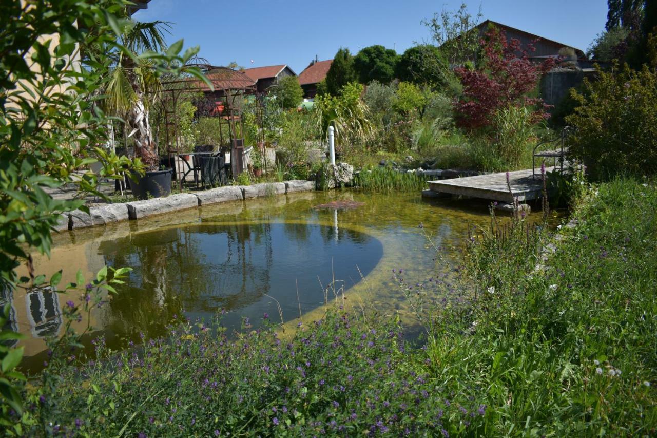 Palmengarten Finning Екстер'єр фото